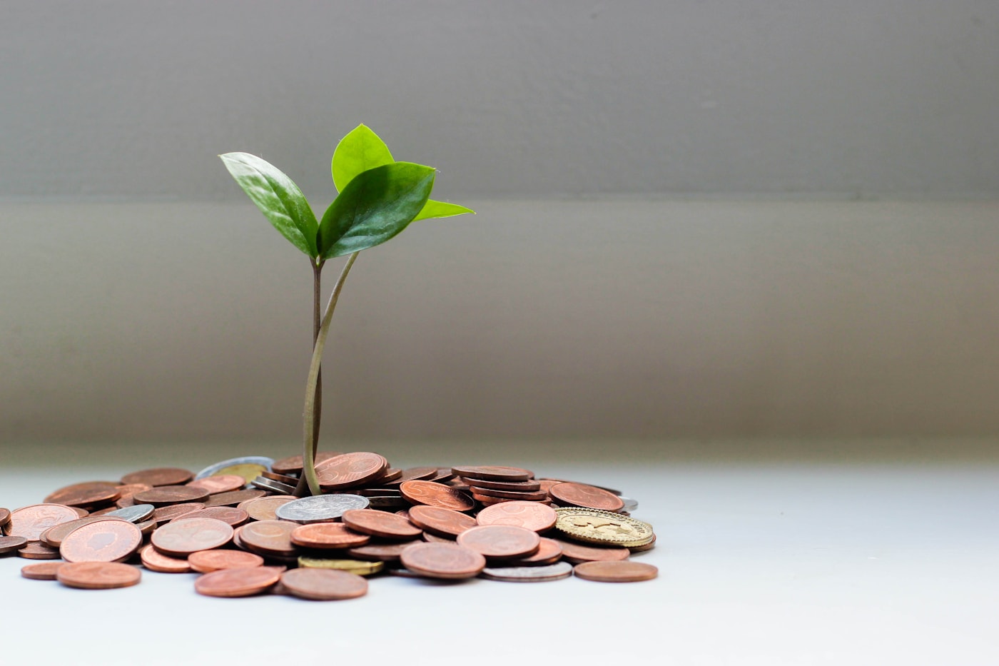 Coins and financial planning materials representing dividend income